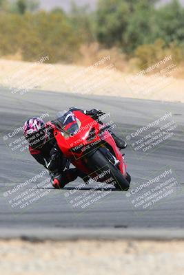 media/Apr-10-2022-SoCal Trackdays (Sun) [[f104b12566]]/Turn 10 (1pm)/